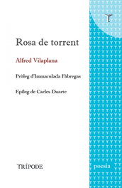 Rosa de torrent, Alfred Vilaplana - TRIPODE