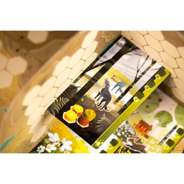 Juego de Mesa Asmodee 22 x 7 x 22 cm