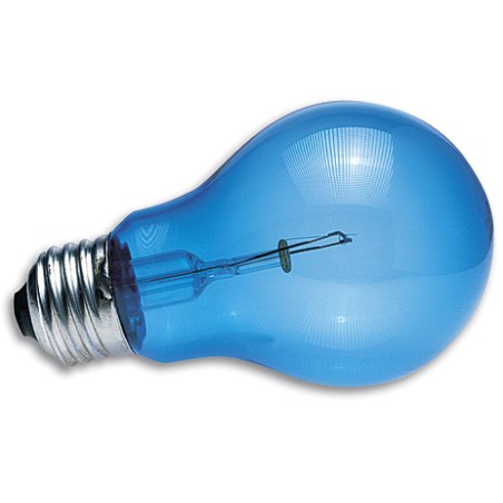 ZooMed Daylight Blue Luz 60W Bombilla Calentadora para Terrarios de Reptiles y Anfibios, Vidrio Azul Eficiente