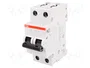 ABB S202-C6 Interruptor magnetotérmico 2 polos 6A 6kA