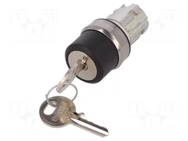 SIEMENS Interruptor rotativo con llave 22mm 2 posiciones plata