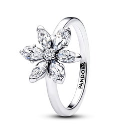 Anillo Mujer Pandora 193000C02-52 Plateado 12