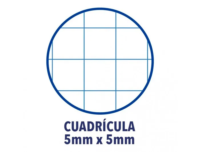 Oxford Recambio/Bloc A4+ 80 Hojas 90gr Cuadro 5mm 4 Taladros Blanco
