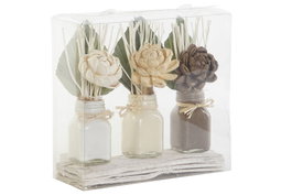 DKD Home Decor Set de 3 Plantas de Flor Seca y Cerámica Blanco