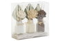 DKD Home Decor Set de 3 Plantas de Flor Seca y Cerámica Blanco