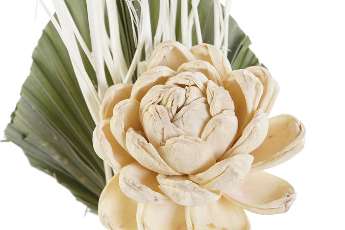 DKD Home Decor Set de 3 Plantas de Flor Seca y Cerámica Blanco
