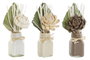 DKD Home Decor Set de 3 Plantas de Flor Seca y Cerámica Blanco