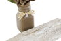 DKD Home Decor Set de 3 Plantas de Flor Seca y Cerámica Blanco