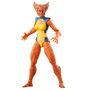 Hasbro Figura Marvel Legends Series Wolfsbane 15cm