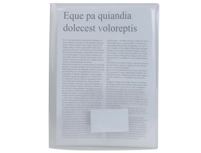 Liderpapel Carpeta Dossier Dos Bolsas Incolora DIN A4