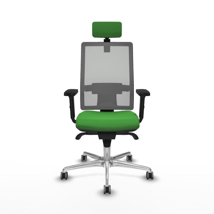 PIQUERAS Y CRESPO Silla de oficina Horna con mecanismo Sincro, Tela Verde y Malla Gris PIQUERAS Y CRESPO Silla de oficina Horna con mecanismo Sincro, Tela Verde y Malla Gris