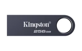 Kingston DataTraveler SE9 G3 256 GB Níquel oscuro