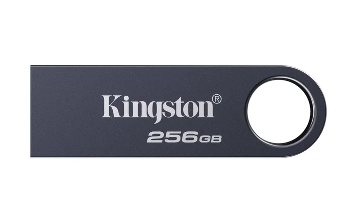 Kingston DataTraveler SE9 G3 256 GB Negro