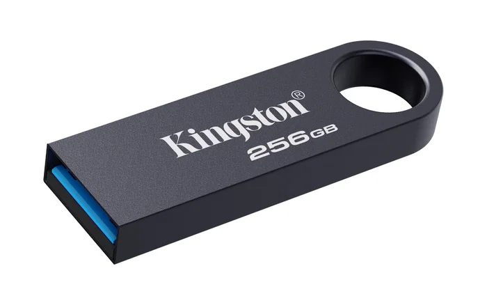 Kingston DataTraveler SE9 G3 256 GB USB 3.2 Níquel oscuro