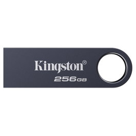 Kingston DataTraveler SE9 G3 256 GB Níquel Oscuro