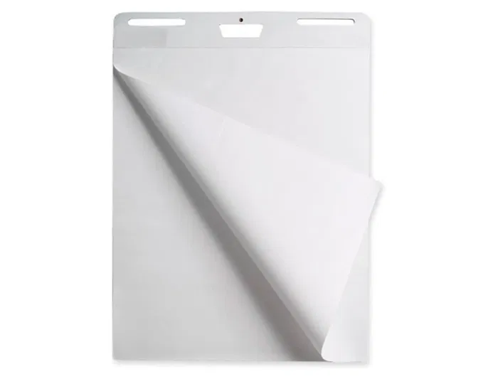 Liderpapel Bloc Congreso Liso para Pizarra, Papel 80 g/m², 630 x 840 mm (63 x 84 cm), 50 Hojas