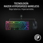 Razer DeathAdder V3 HyperSpeed Ratón Gaming Ergonómico Negro