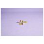 LEGO Classic Amigos Nutritivos Creativos 11039