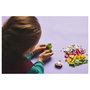 LEGO Classic Amigos Nutritivos Creativos 11039