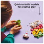 LEGO Classic Amigos Nutritivos Creativos 11039