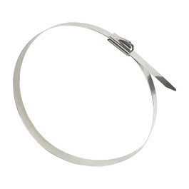 GoodConnections Bridas de Acero Inoxidable 250mm x 7,9mm, 20 unidades