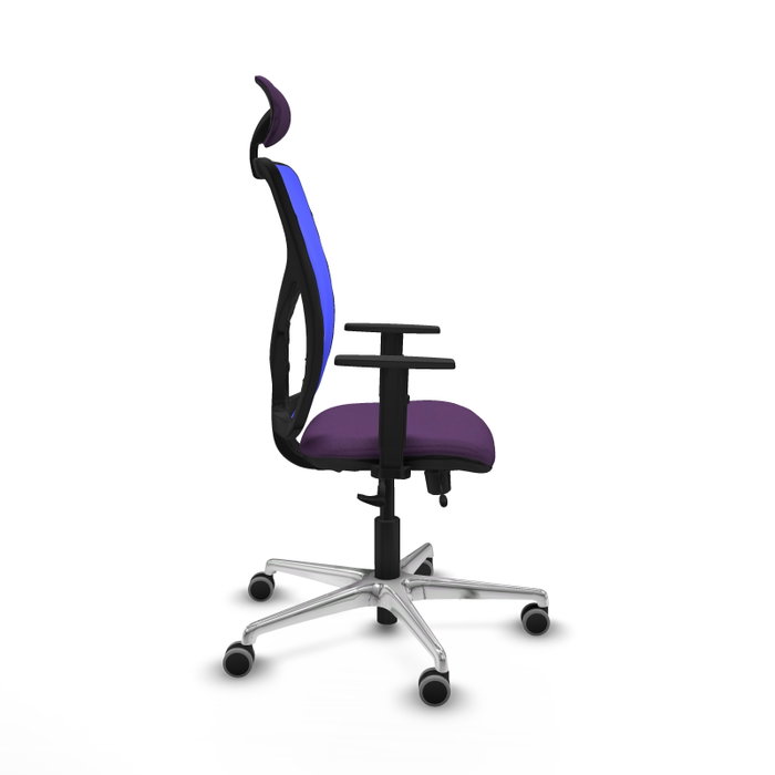 PIQUERAS Y CRESPO Silla de oficina Motilla con mecanismo Sincro/Traslack, Morado y Azul PIQUERAS Y CRESPO Silla de oficina Motilla con mecanismo Sincro/Traslack, Morado y Azul