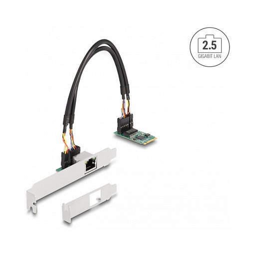 DeLOCK Tarjeta de red M.2 clave B+M 1 x RJ45 2,5 Gigabit LAN 95272