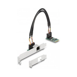 DeLOCK Tarjeta de red M.2 clave B+M 1 x RJ45 2,5 Gigabit LAN 95272