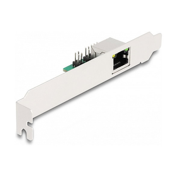 DeLOCK Tarjeta de red M.2 clave B+M 1 x RJ45 2,5 Gigabit LAN 95272