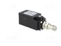 PIZZATO ELETTRICA FR 517 Interruptor de fin de carrera NO + NC 10A