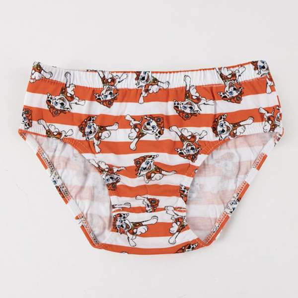 Cerdá Pack Calzoncillos Single Jersey 3 Piezas Paw Patrol T04/05