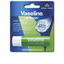 Vaseline Bálsamo Labial Stick Aloe Vera