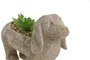 DKD Home Decor Planta Tradicional Beige Verde Resina Pe 8 x 15.5 x 31 cm (4 Unidades)
