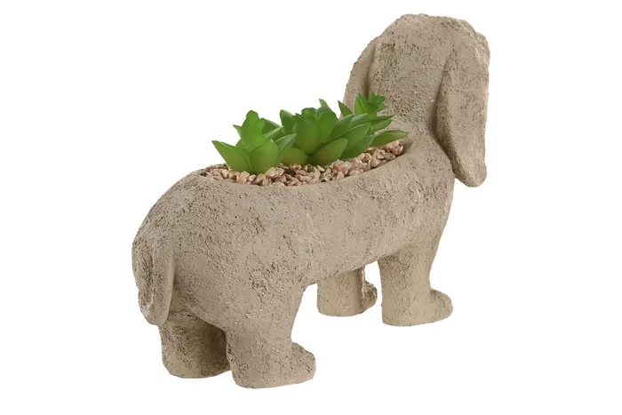 DKD Home Decor Planta Tradicional Beige Verde Resina Pe 8 x 15.5 x 31 cm (4 Unidades) DKD Home Decor Planta Tradicional Beige Verde Resina Pe 8 x 15.5 x 31 cm (4 Unidades)
