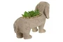 DKD Home Decor Planta Tradicional Beige Verde Resina Pe 8 x 15.5 x 31 cm (4 Unidades)