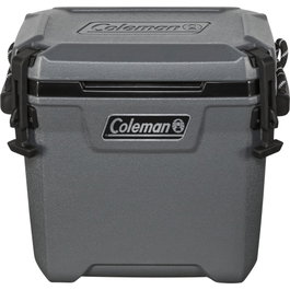 Coleman Convoy 28 QT Gris