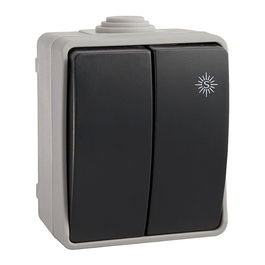 Solera - Doble Conmutador/Interruptor Estanco IP54, 10A 250V, Polipropileno, Embornamiento por Tornillo, Entrada para Tubo Ø20 mm, Superficie (65x80x55 mm), Color Gris/Negro