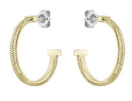 Boss Pendientes Dorados de Acero Inoxidable