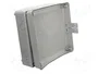 ELEKTRO-PLAST NASIELSK Carcasa Universal Industrial Gris