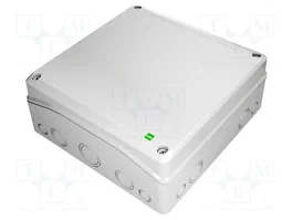 ELEKTRO-PLAST NASIELSK Carcasa Universal Industrial Gris