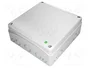 ELEKTRO-PLAST NASIELSK Carcasa Universal Industrial Gris