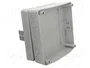 ELEKTRO-PLAST NASIELSK Carcasa Universal Industrial Gris