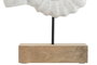 DKD Home Decor Decoración Mango y Hierro Caracola Blanco y Natural