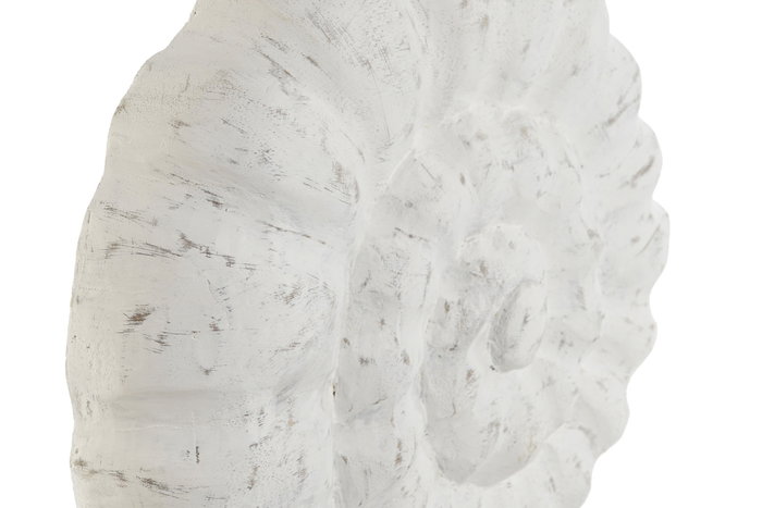 DKD Home Decor Decoración Mango y Hierro Caracola Blanco y Natural DKD Home Decor Decoración Mango y Hierro Caracola Blanco y Natural