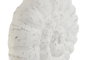 DKD Home Decor Decoración Mango y Hierro Caracola Blanco y Natural