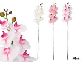 Ibergarden Rama Orquidea 88 cm Blanco, Rosa, Verde - Surtido (Set de 24)