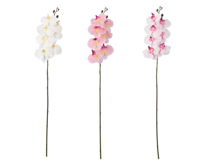 Ibergarden Rama Orquidea 88 cm Blanco, Rosa, Verde - Surtido (Set de 24)