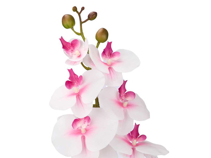 Ibergarden Rama Orquidea 88 cm Blanco, Rosa, Verde - Surtido (Set de 24)