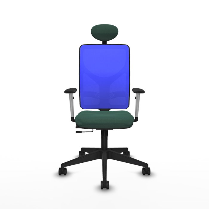 PIQUERAS Y CRESPO Silla de oficina Motilla con mecanismo Sincro/Traslack Verde botella y Azul PIQUERAS Y CRESPO Silla de oficina Motilla con mecanismo Sincro/Traslack Verde botella y Azul
