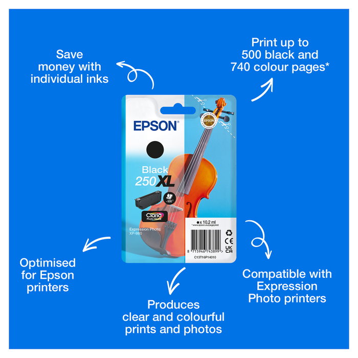 Epson 250XL Negro C13T16P14010
